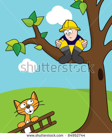 Cat Stuck In Tree Stock Images, Royalty.
