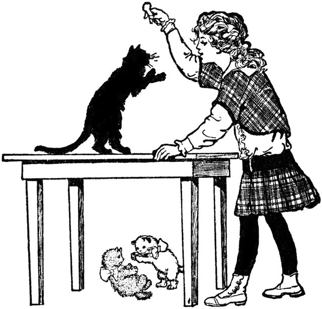 Girl Playing with a Cat on Table.