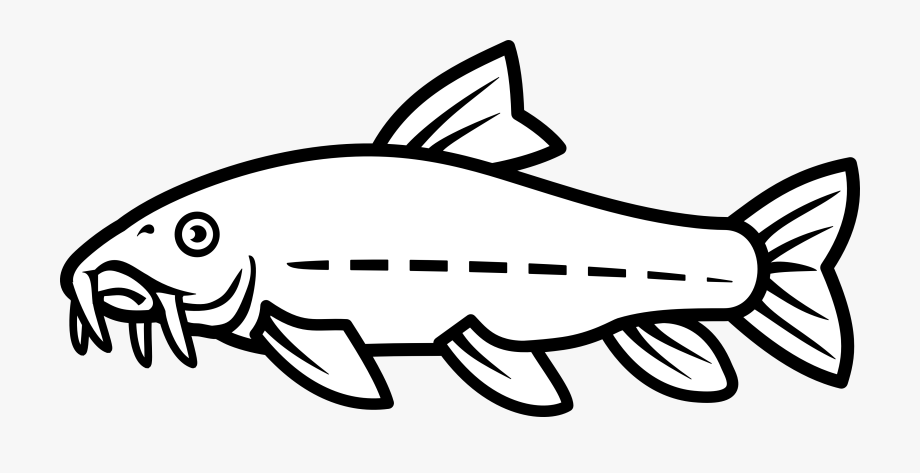 catfish clipart black and white 20 free Cliparts | Download images on
