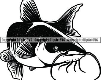 Catfish clip art.