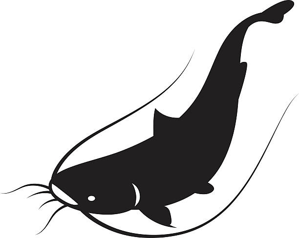 Catfish logo clipart Transparent pictures on F.
