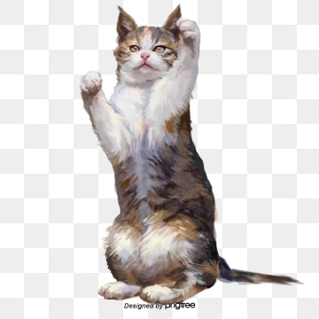 Cat PNG Images, Download 12,359 Cat PNG Resources with Transparent.