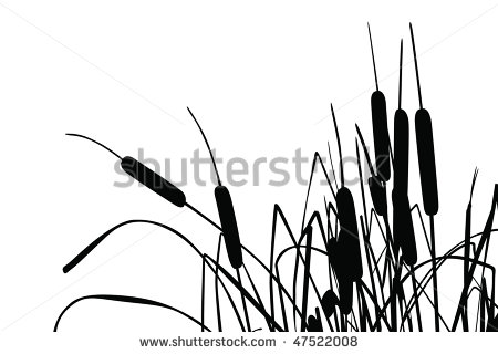 cattail clipart black and white 20 free Cliparts | Download images on ...