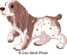 Cavalier king charles spaniel Clipart and Stock Illustrations. 57.