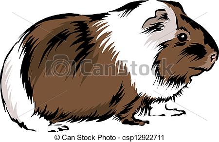 Guinea pig Clip Art and Stock Illustrations. 396 Guinea pig EPS.