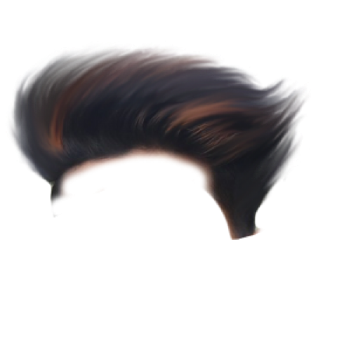 cb hair download png 20 free Cliparts | Download images on Clipground 2021