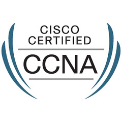 Official CCNA Logo.
