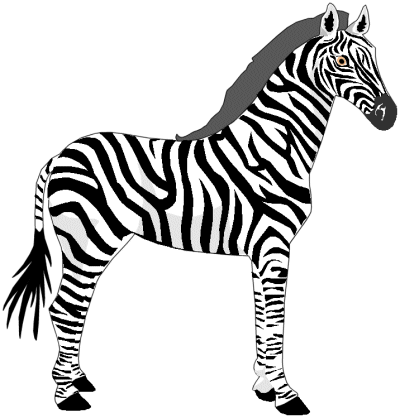 Free Zebra Cliparts, Download Free Clip Art, Free Clip Art.