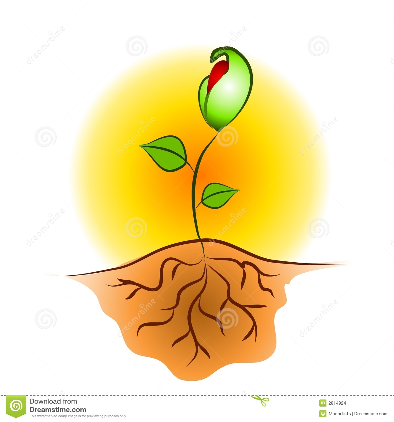 From Seed To Plant Clipart.