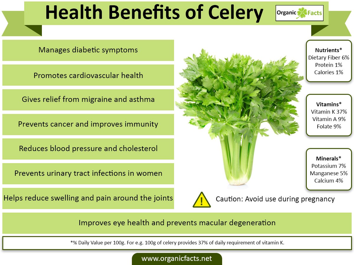 15 Incredible Celery Benefits.