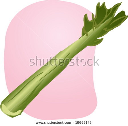Vector celery stalk free vector download (19 Free vector) for.