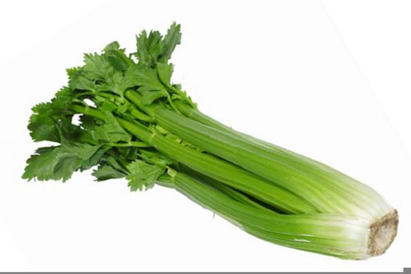 Clipart Celery Stalk.