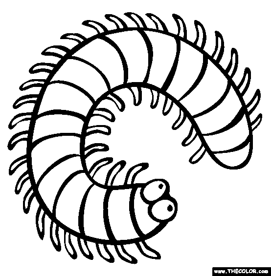 Centipedes clipart 20 free Cliparts | Download images on Clipground 2021