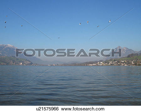 Stock Images of city, banks, Central Switzerland, beautiful, bay.