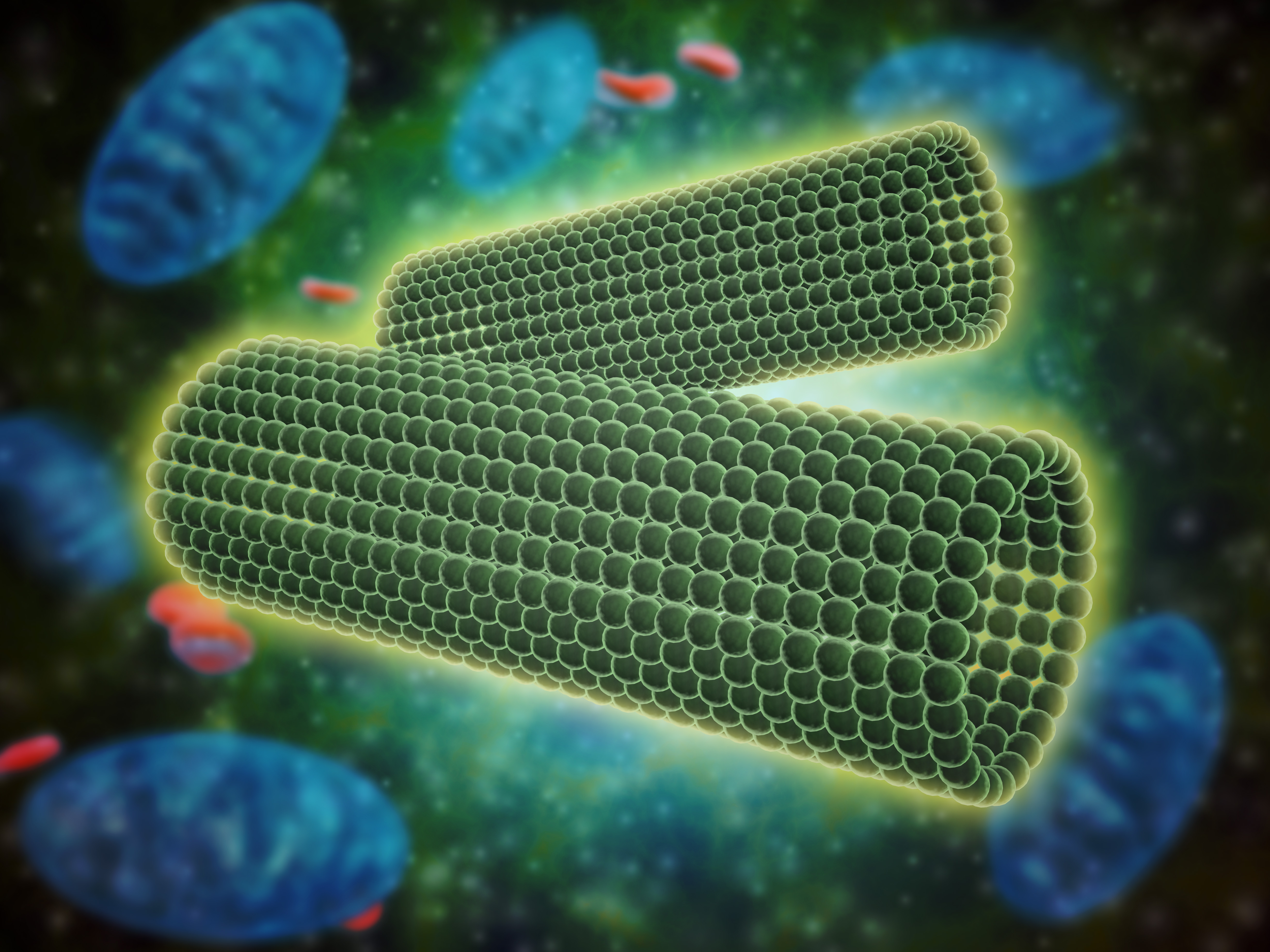 Centriole: Definition, Function & Structure.