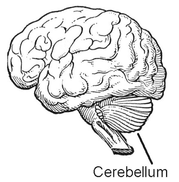 Neurology.