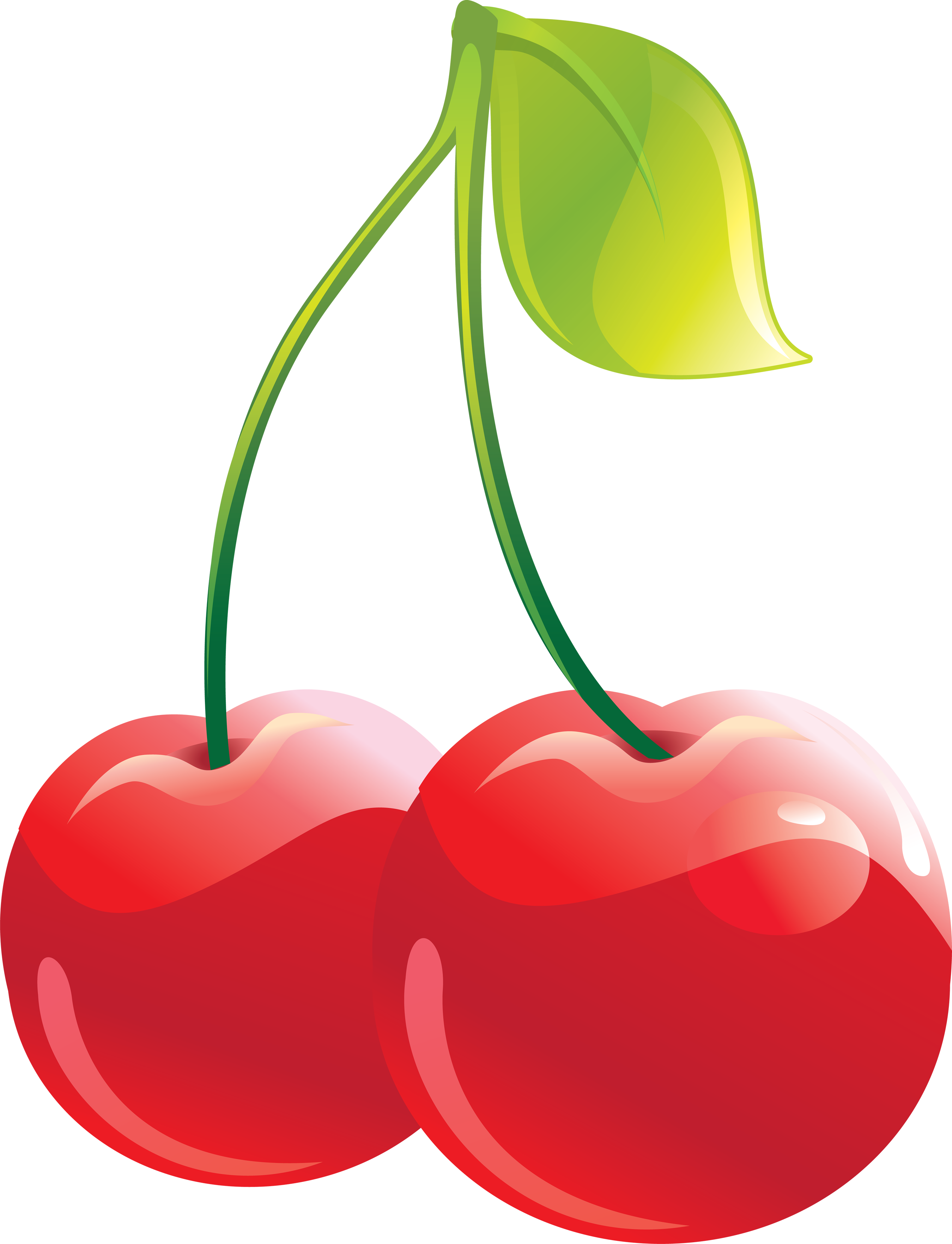 Cherry PNG images, free download.