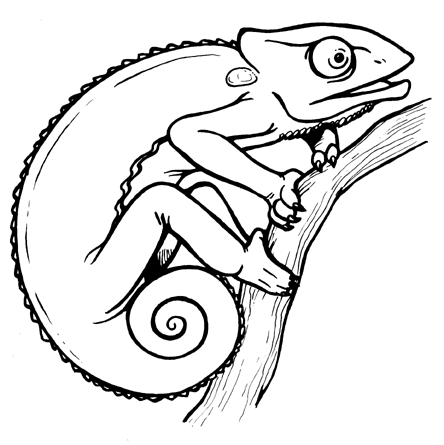 Free Chameleon Clipart Black And White, Download Free Clip.