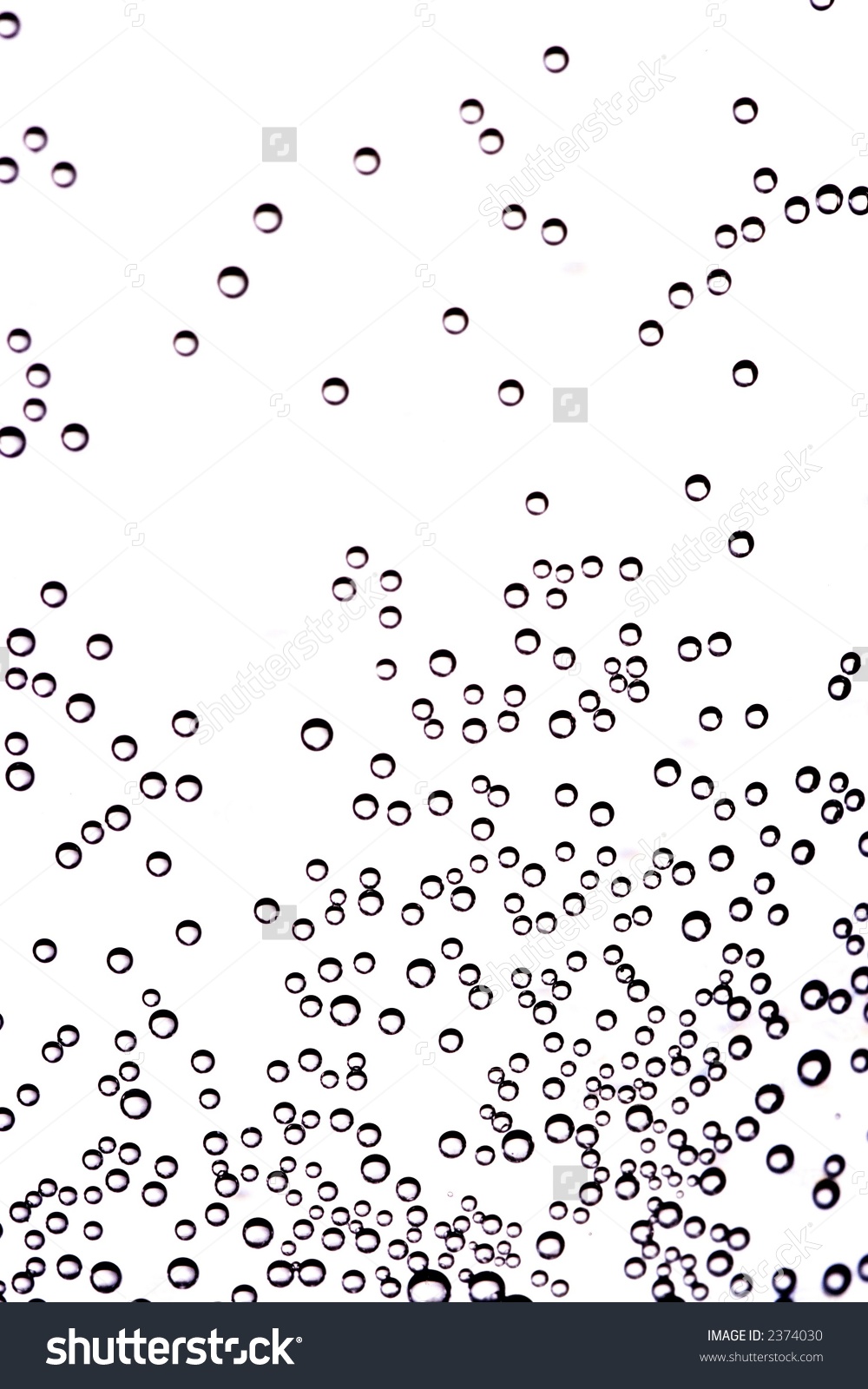Champagne Bubbles Clip Art.