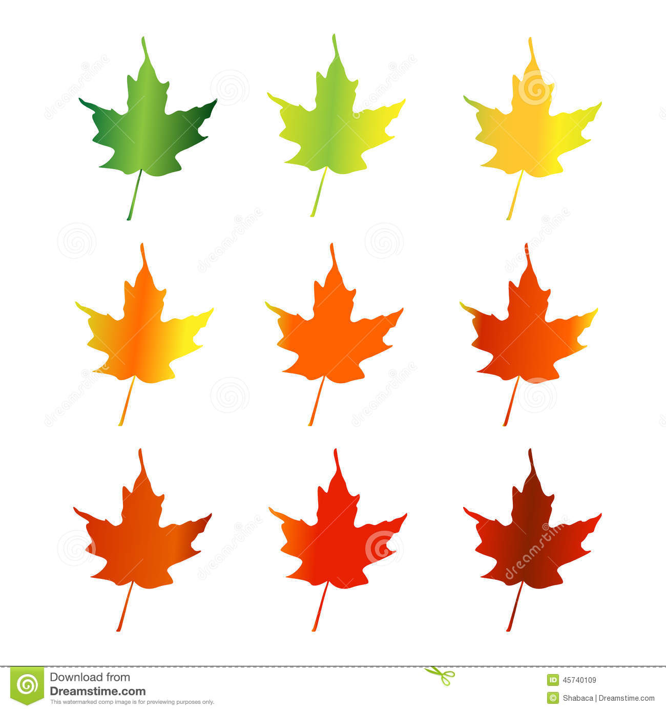 Leaves changing color clipart.