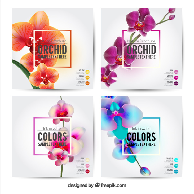 Orchid Vectors, Photos and PSD files.