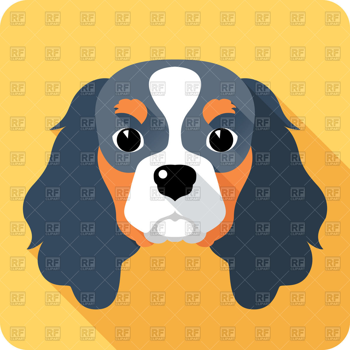 Head of Cavalier King Charles Spaniel.