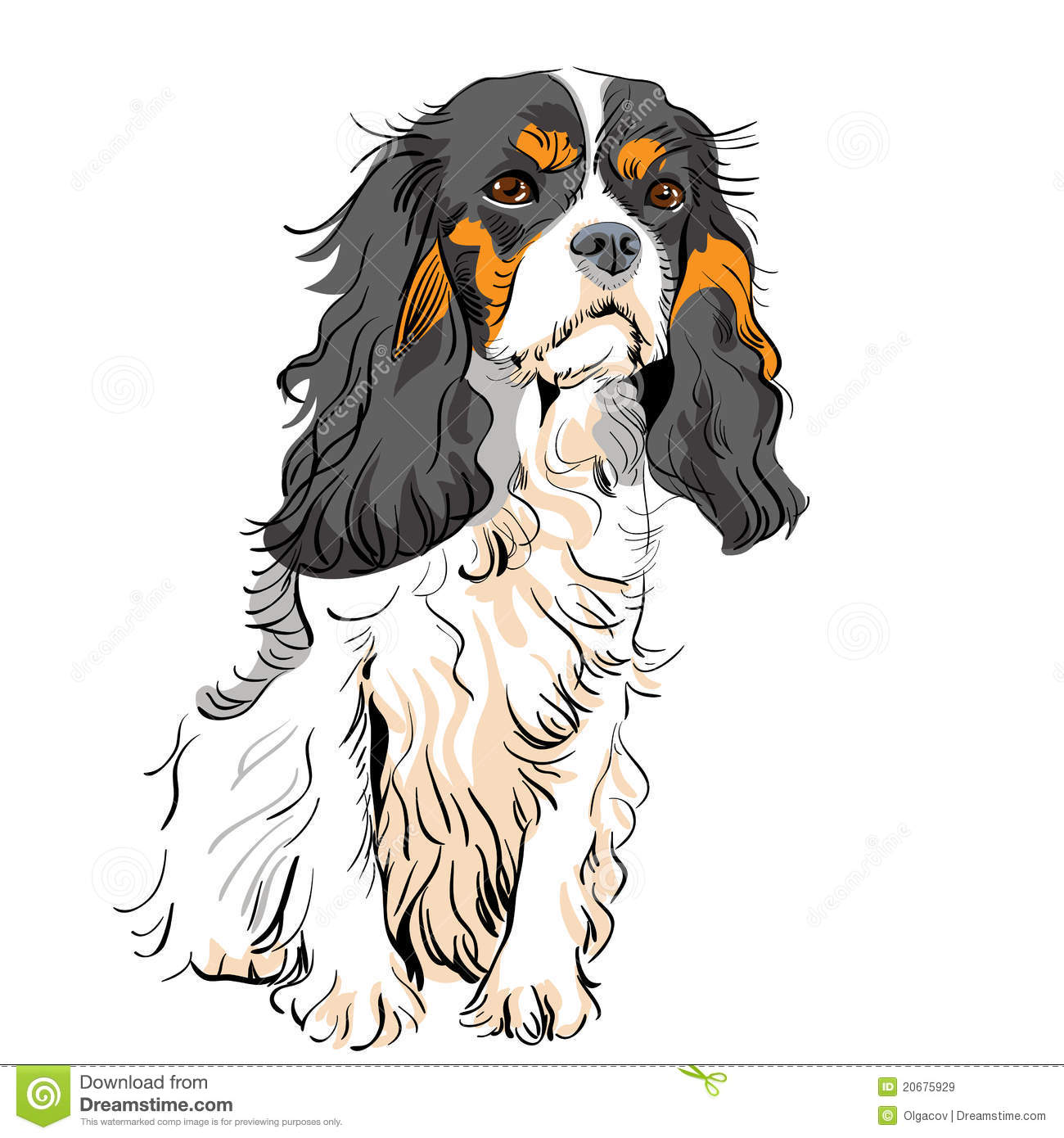 Cavalier king charles clipart.