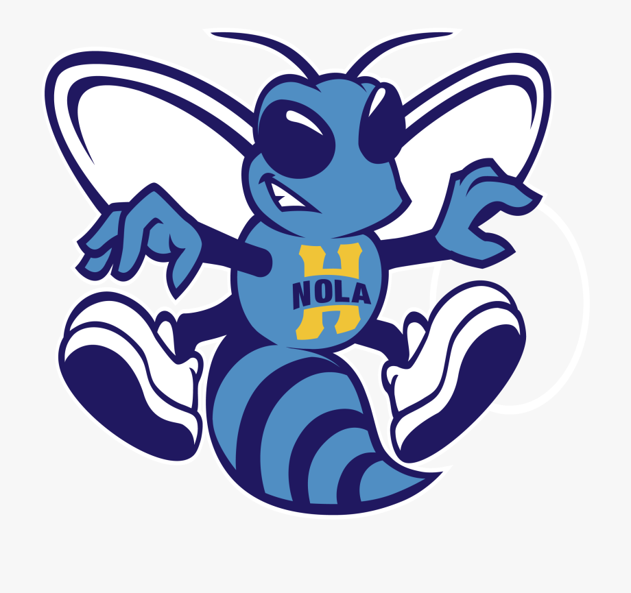 Charlotte Hornets Png Pic.