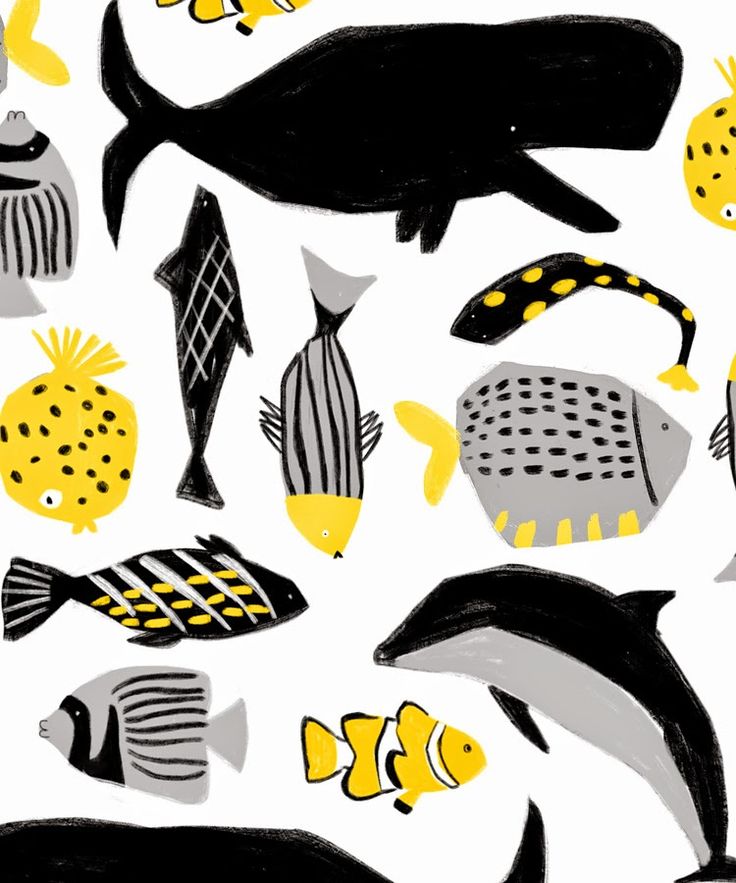 1000+ ideas about Sea Fish on Pinterest.