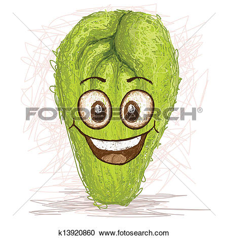 Chayote Clipart and Illustration. 11 chayote clip art vector EPS.