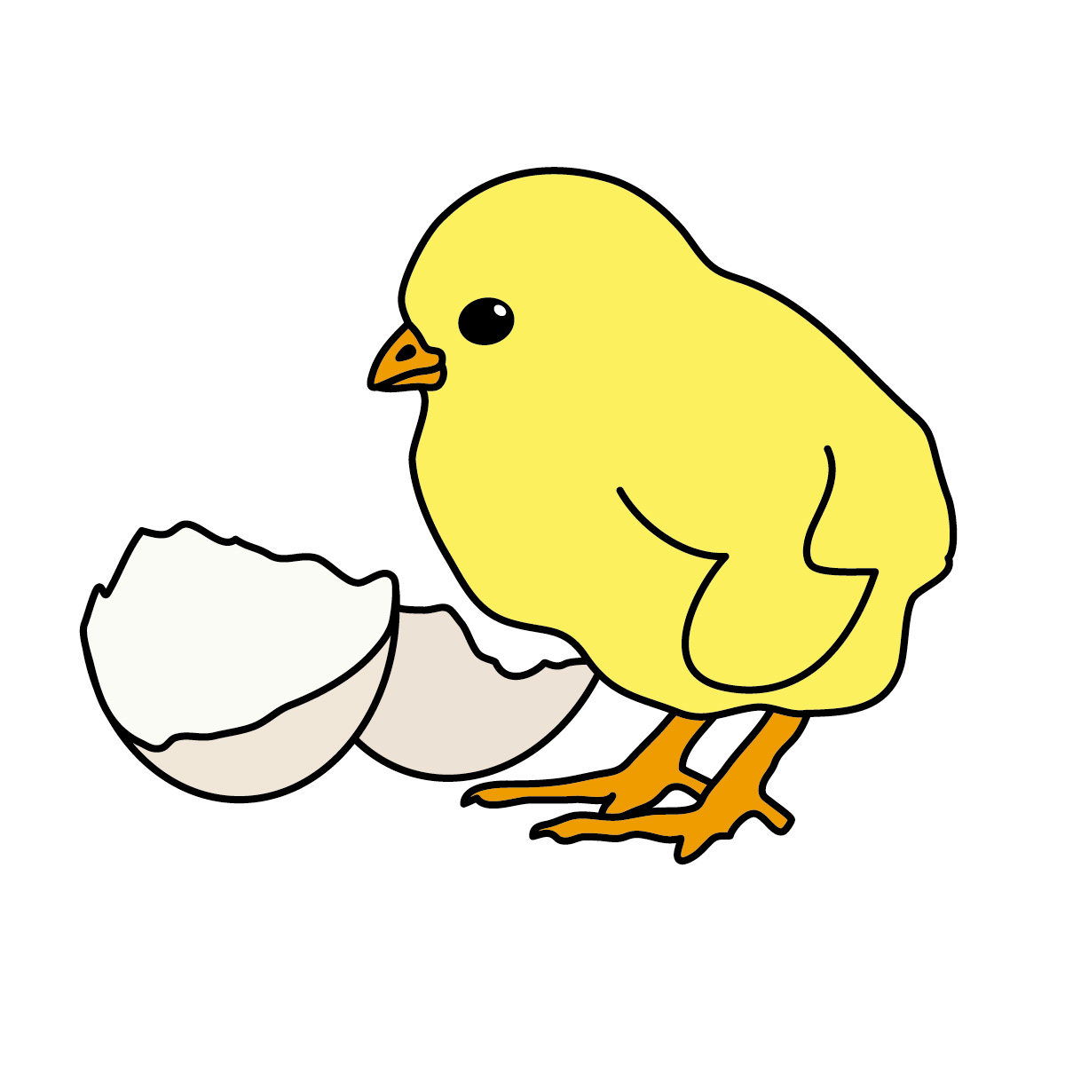 Chick Clipart & Chick Clip Art Images.