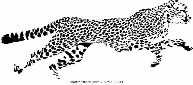 cheetah black and white clipart 20 free Cliparts | Download images on ...