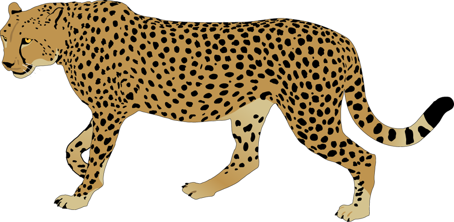 cheetah clip art 20 free Cliparts | Download images on Clipground 2024