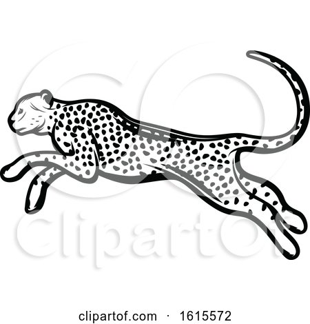 free clipart of cheetahs