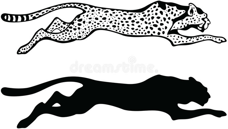 Running Cheetah Stock Illustrations.
