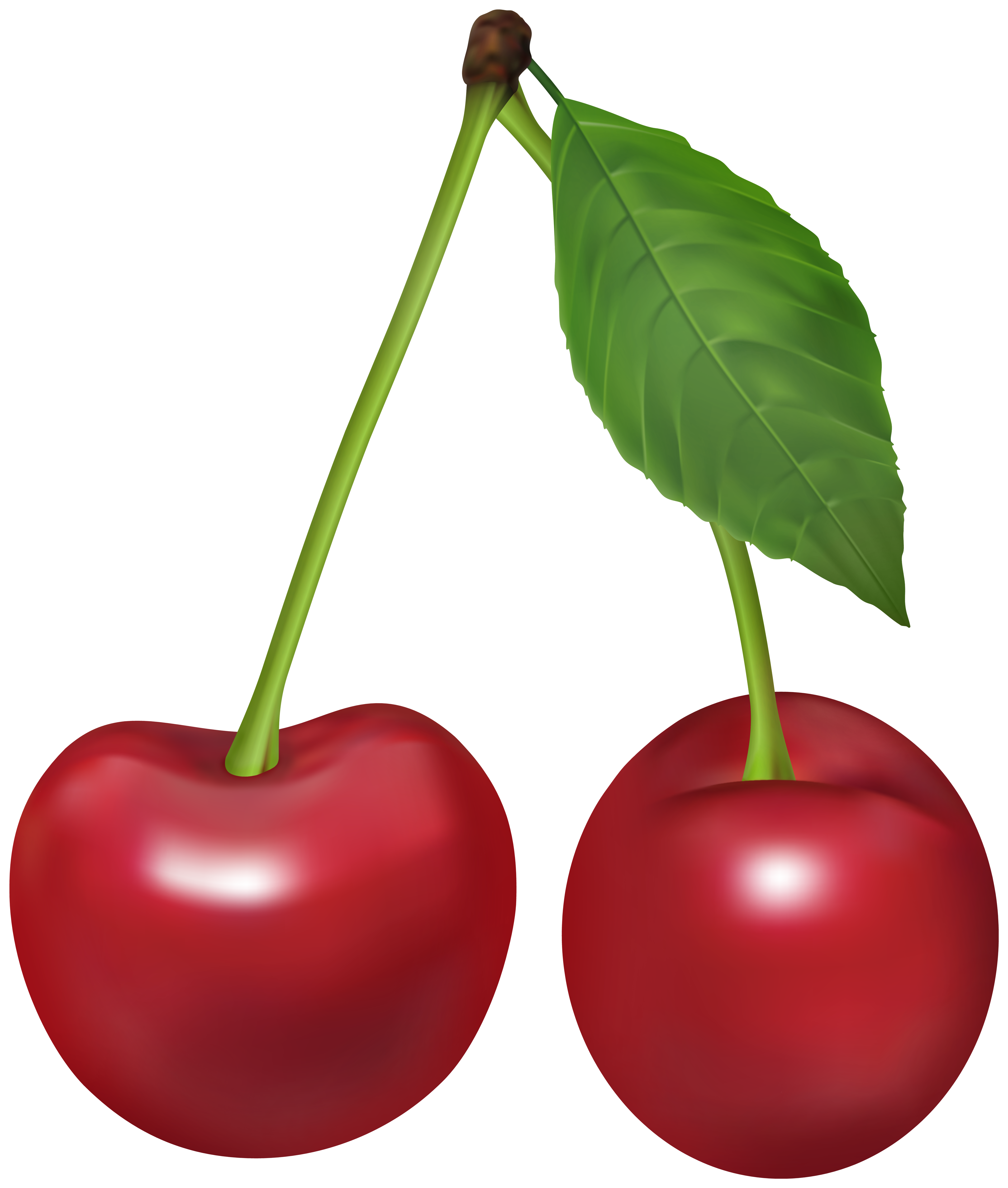cherries clipart png 10 free Cliparts | Download images on Clipground 2024