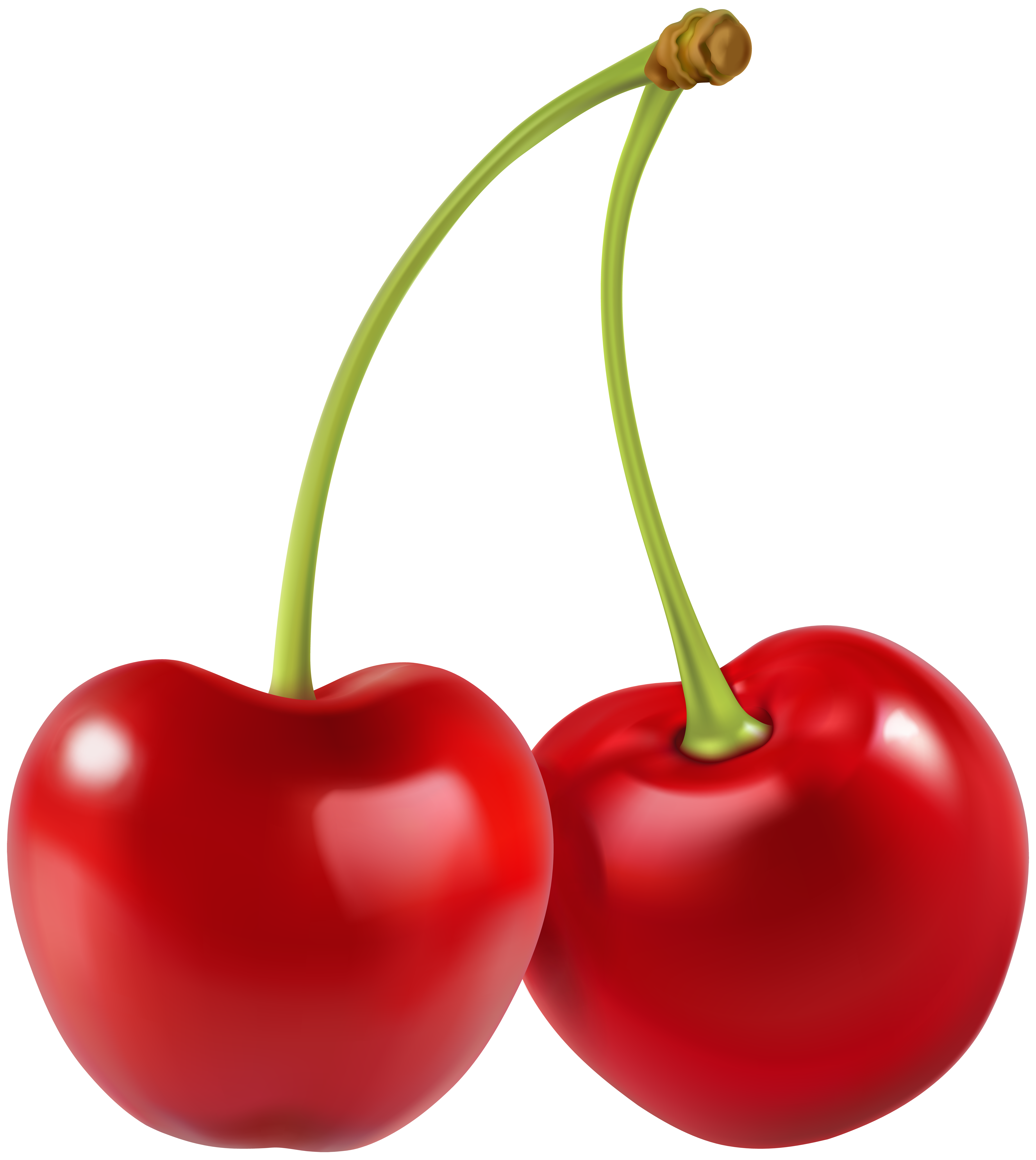 Two Cherries PNG Clip Art Image.