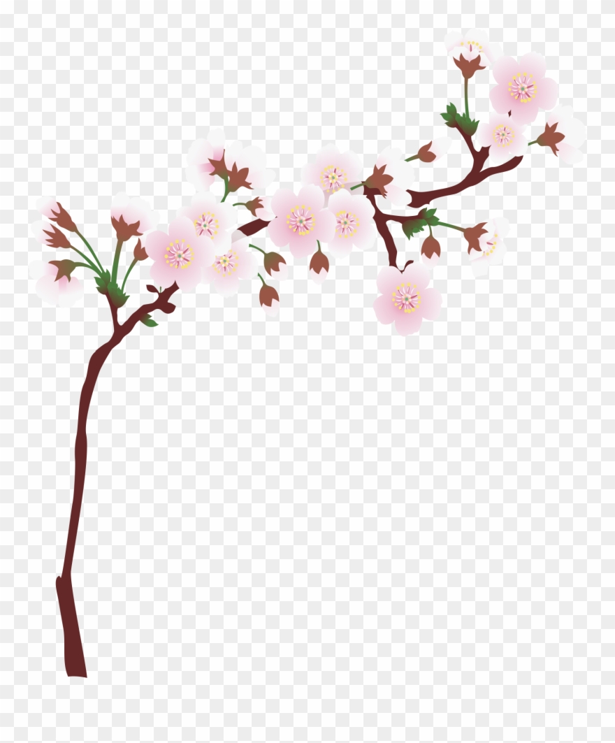 Graphic Library Download Branch Transparent Spring.
