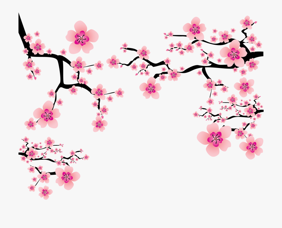 cherry blossom clip art 20 free Cliparts | Download images on