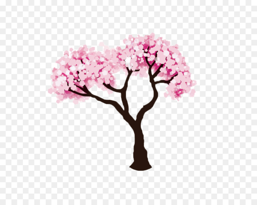 Cherry Blossom Tree Drawing clipart.