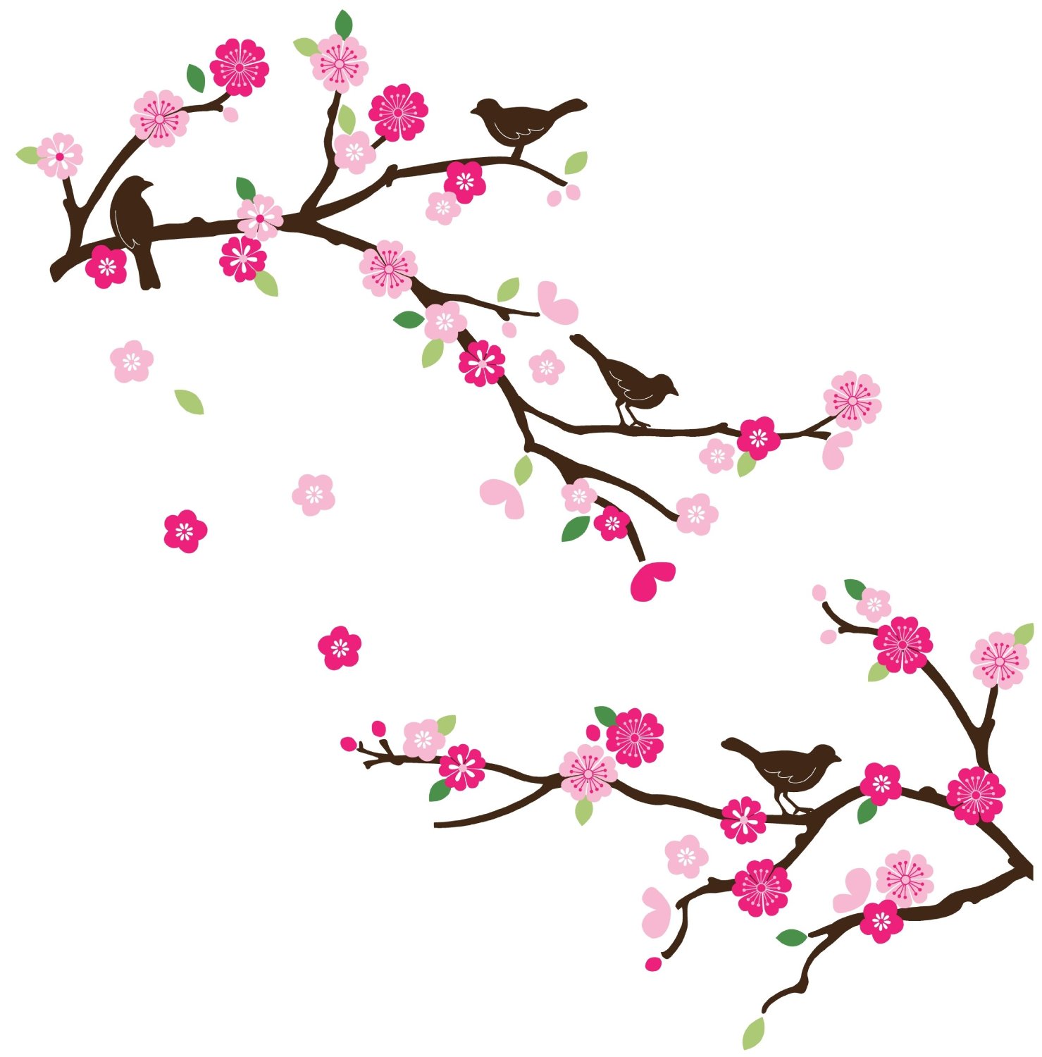 Cherry Blossom Border Clipart.