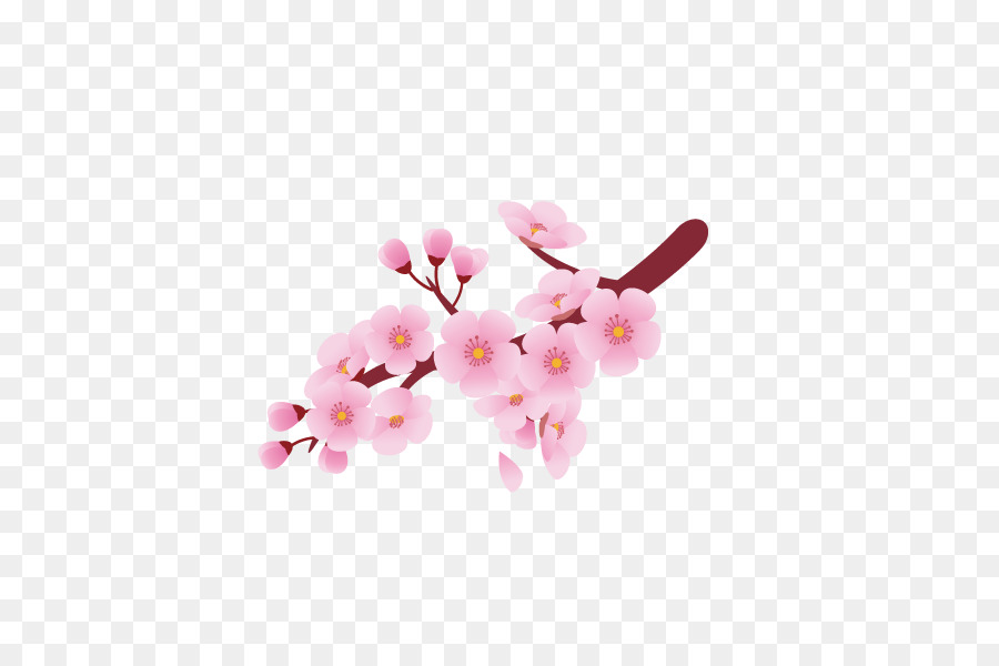 Cherry Blossom Background png download.