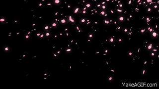 Falling cherry blossom petals. on Make a GIF.