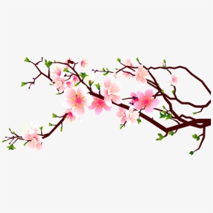 PNG Cherry Blossom Cliparts & Cartoons Free Download.