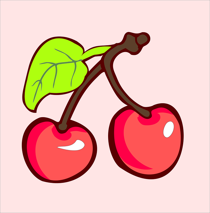 Free vector graphic: Cherry, Harvest, Plant.