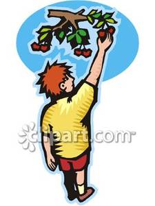 Cherry picking clipart 20 free Cliparts | Download images on Clipground