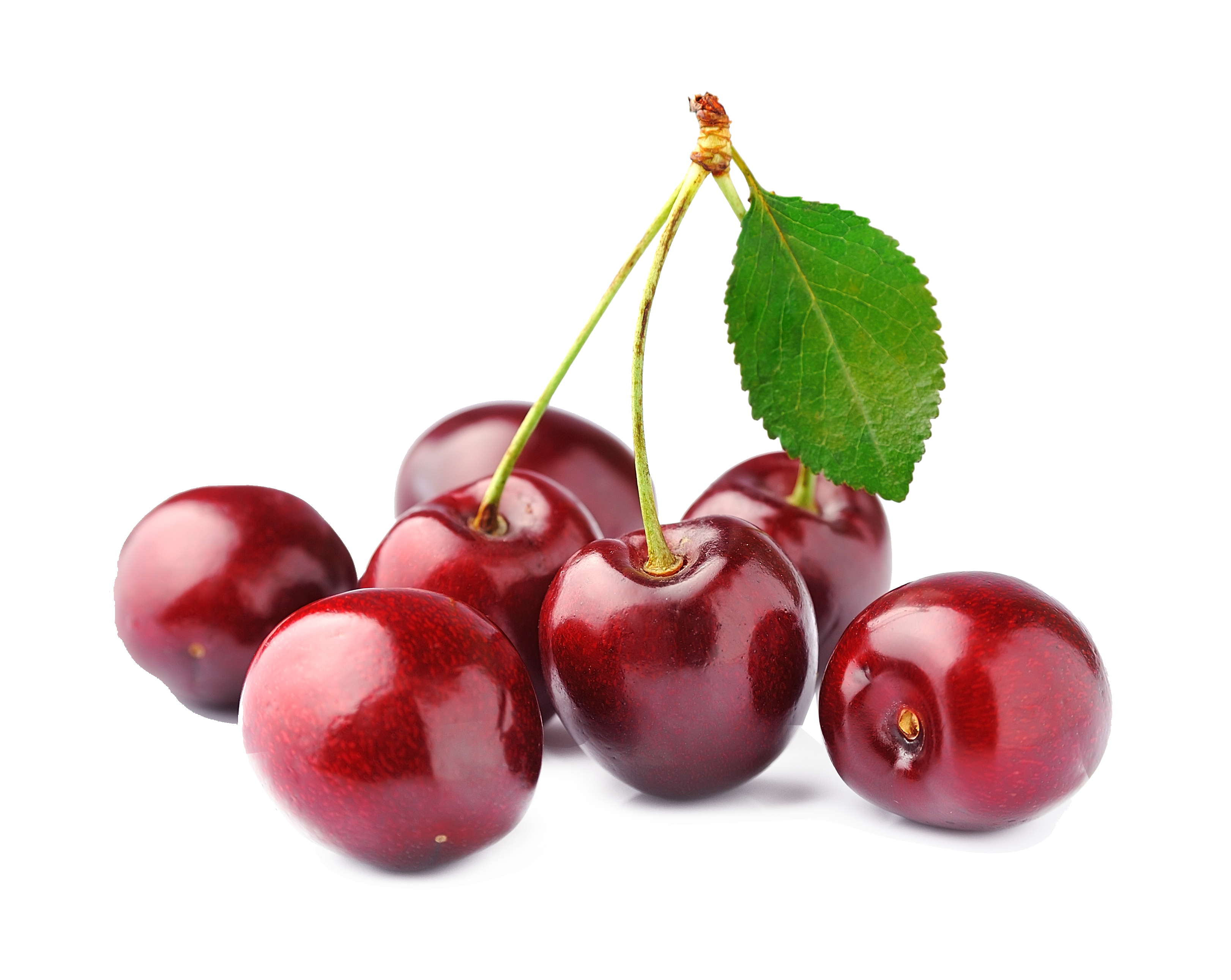 Cherry PNG Images.