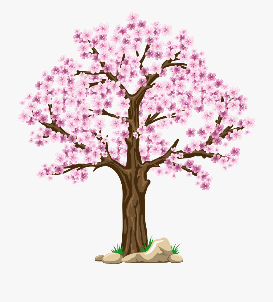 cherry tree images clipart 10 free Cliparts | Download images on