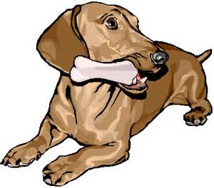 Dog chewing bone clipart.