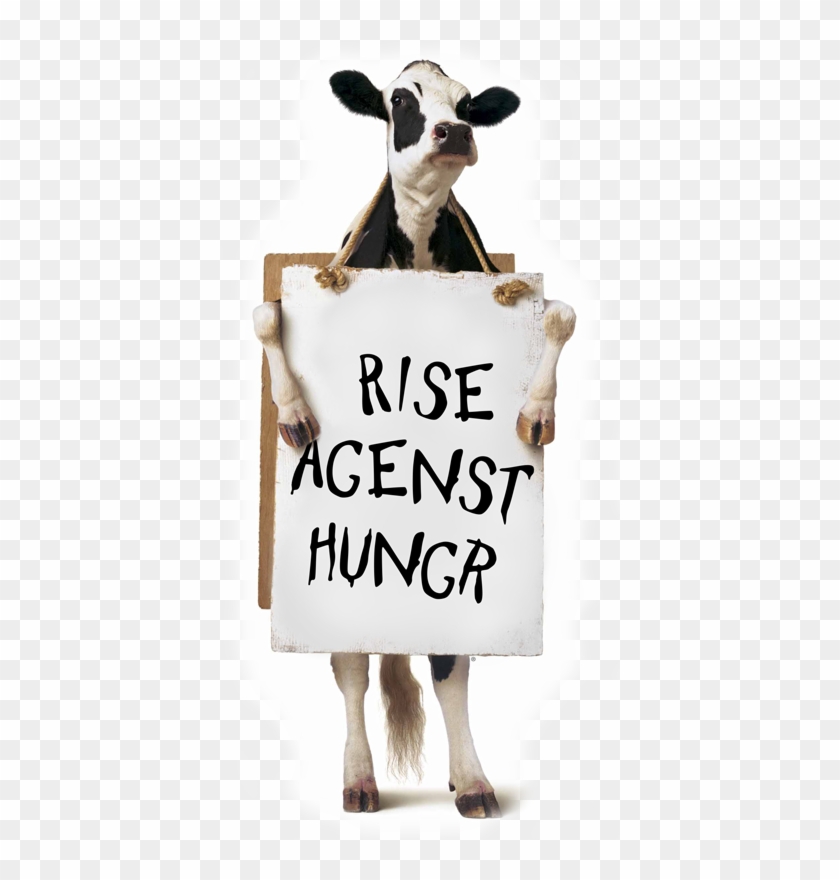 Good 20 Chick Fil A Cow Png For Free Download On Ya.